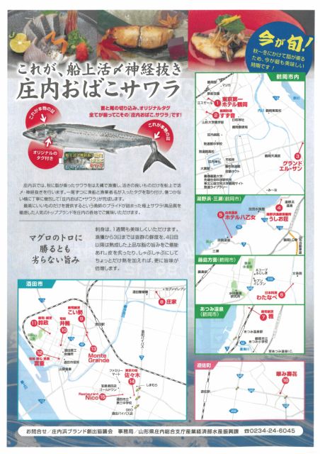 食の都庄内 庄内おばこサワラキャンペーンが始まります!