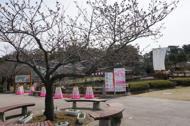 日和山公園の桜の様子（4月6日撮影）