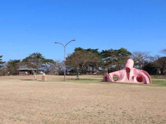舞鶴公園の桜の様子（4月9日現在）