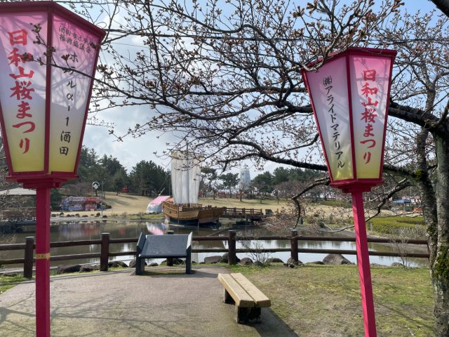 日和山公園の桜の開花状況（４/７現在）