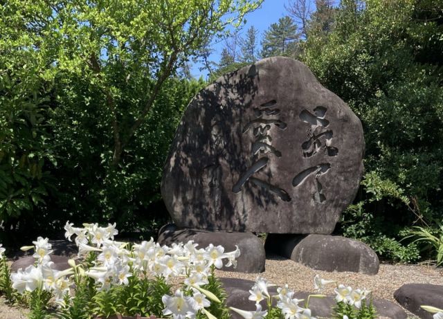 南洲神社でえらぶゆりまつりを開催！