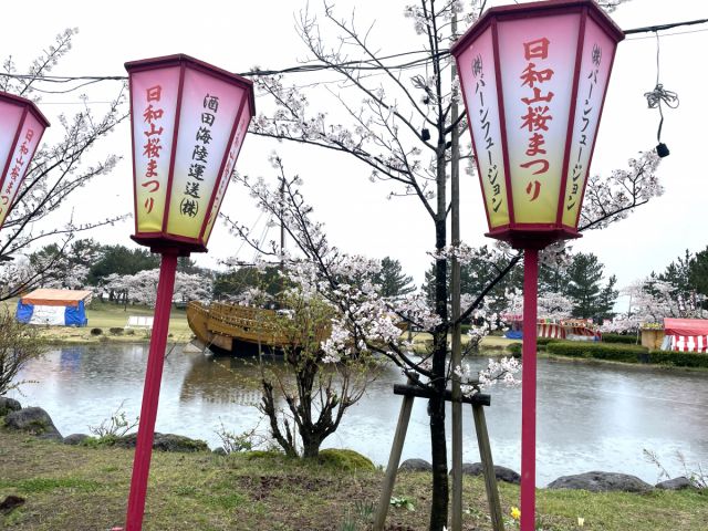 日和山公園の桜の開花状況(4/10)番外編