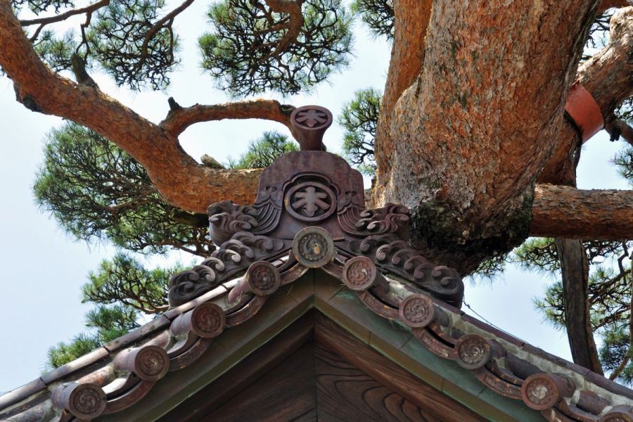 酒田繁栄の立役者 本間家ゆかりの地を巡る旅