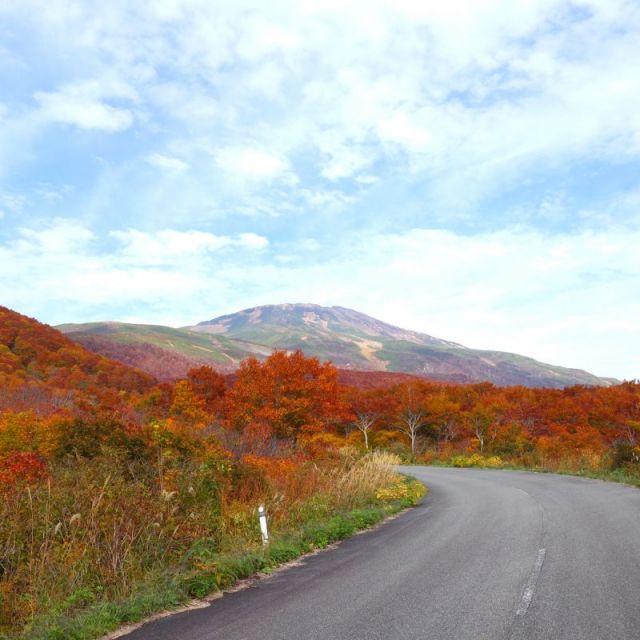 紅葉の名所 鳥海ブルーラインドライブ