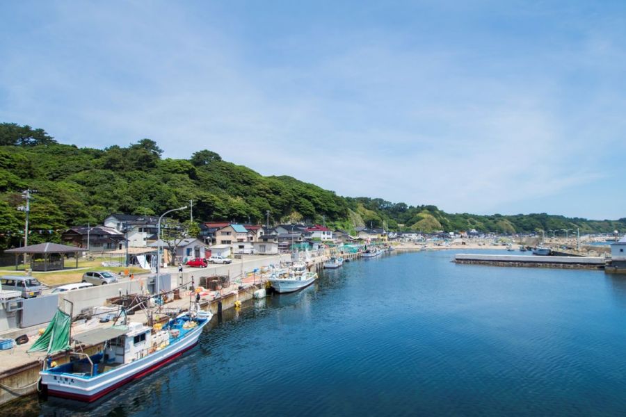 全島が絶好の釣り場「飛島」