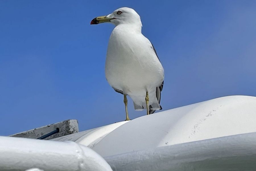 鳥海山・飛島ジオパーク ガイドの会