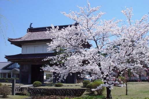 松山城大手門