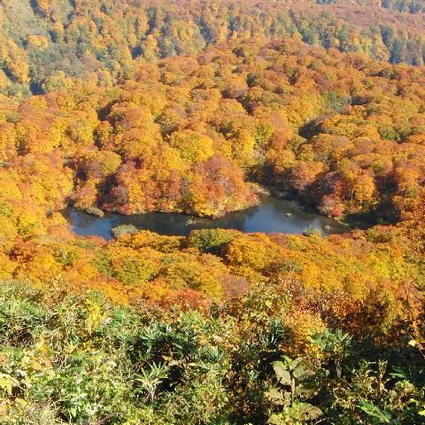 鶴間池