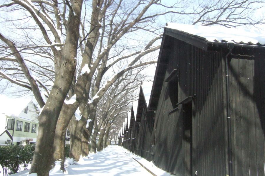 山居倉庫｜観光スポット｜酒田さんぽ - 山形県酒田市の観光・旅行情報