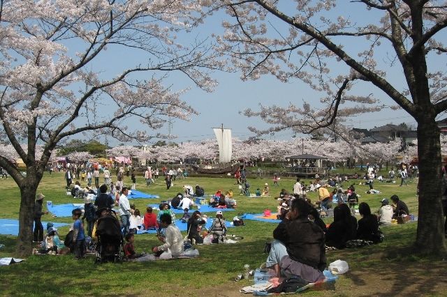 日和山公園桜まつり