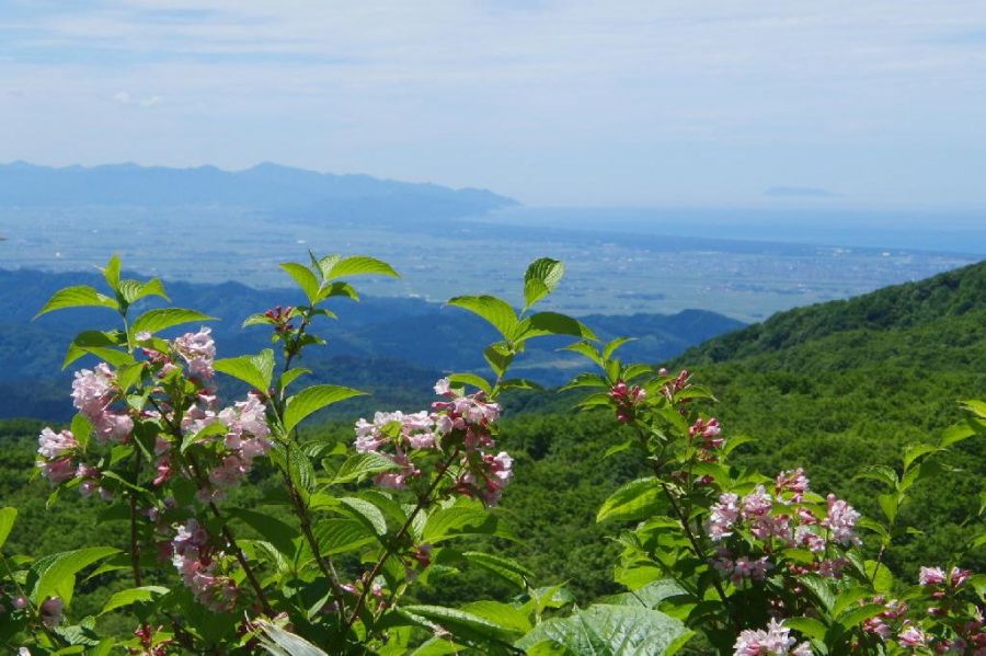 粟島・庄内平野