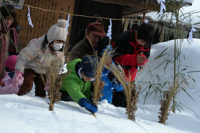 雪中田植え