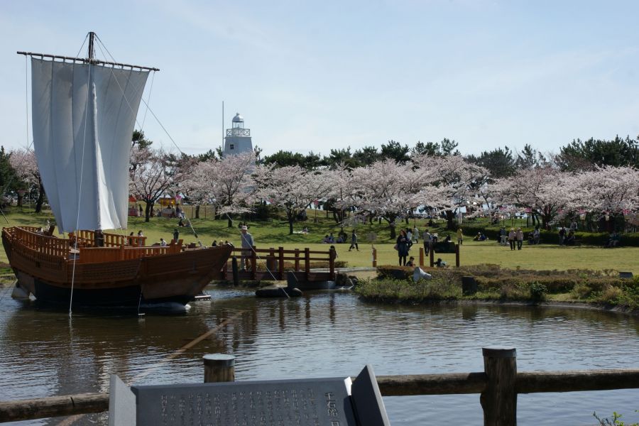 酒田日和山桜まつり