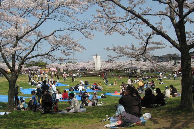 酒田日和山公園桜まつり イベント 酒田さんぽ 山形県酒田市の観光 旅行情報
