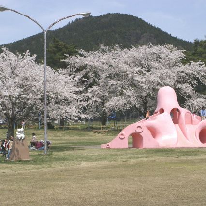 舞鶴公園桜のライトアップ