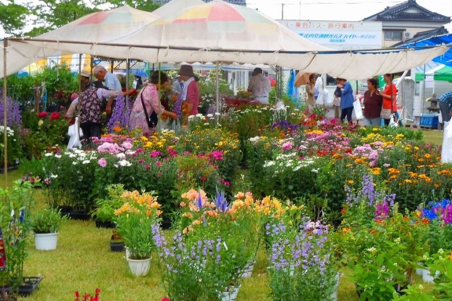 ひらた植木まつり イベント 酒田さんぽ 山形県酒田市の観光 旅行情報