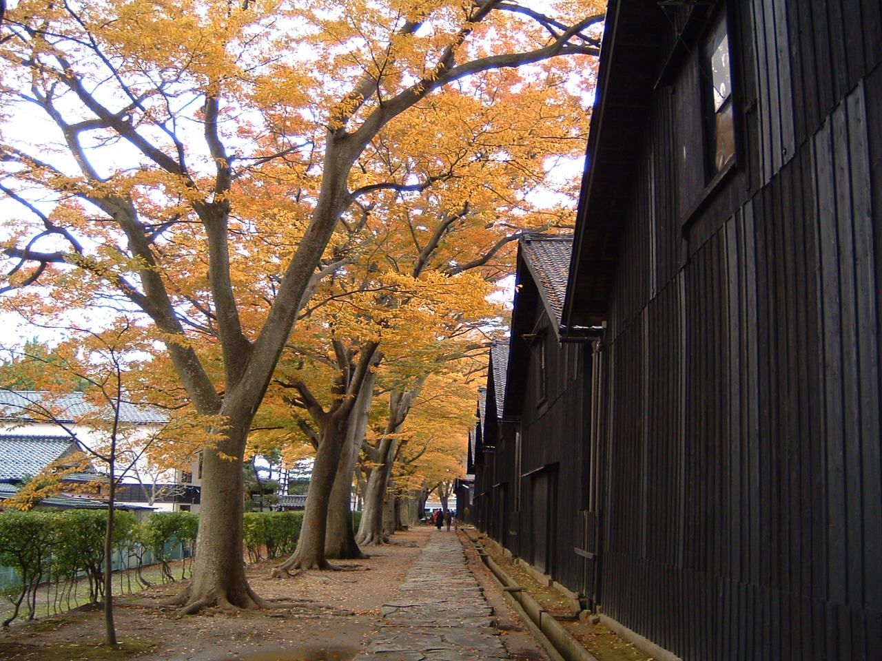 秋　山居倉庫