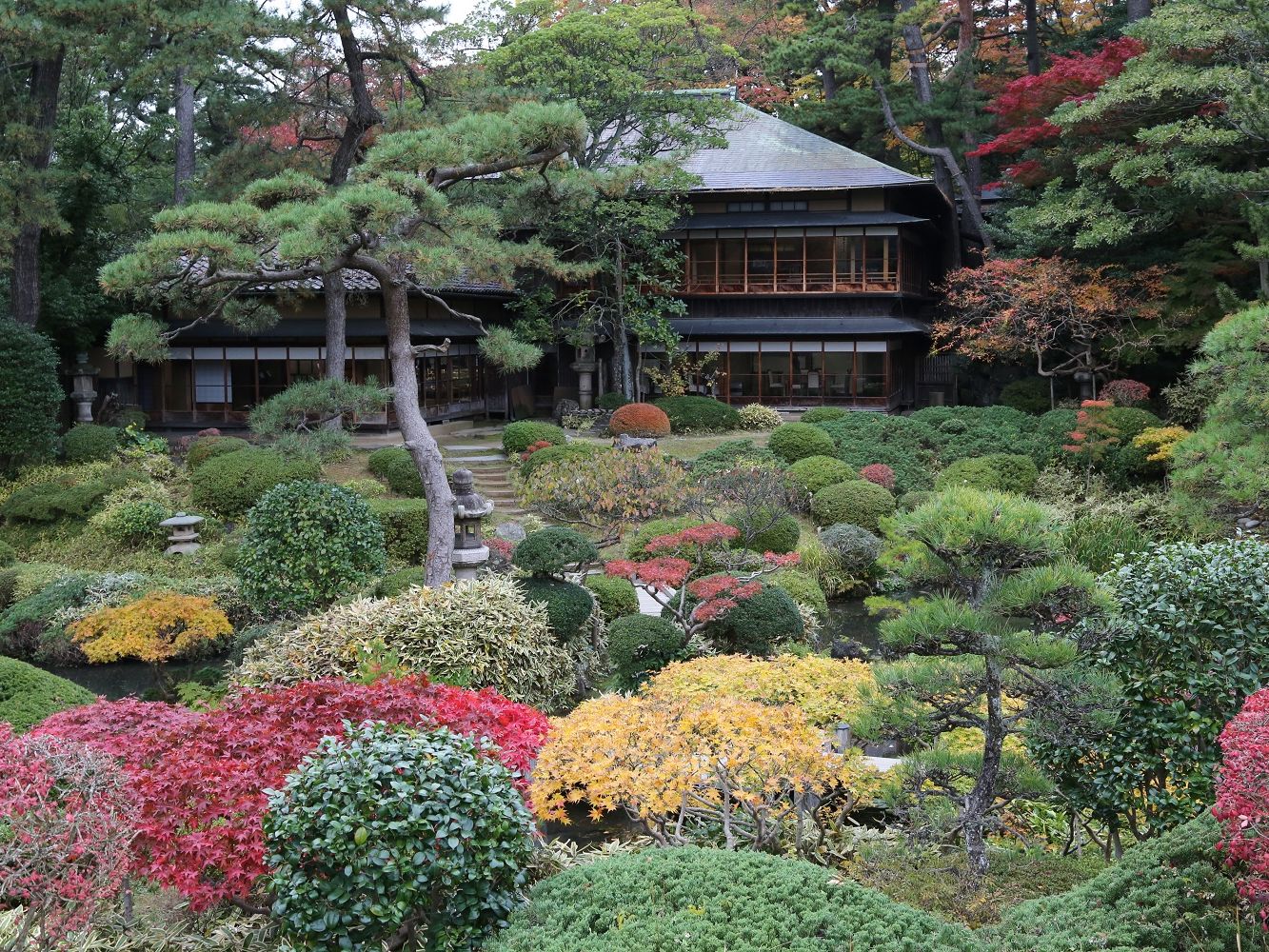 秋　本間美術館