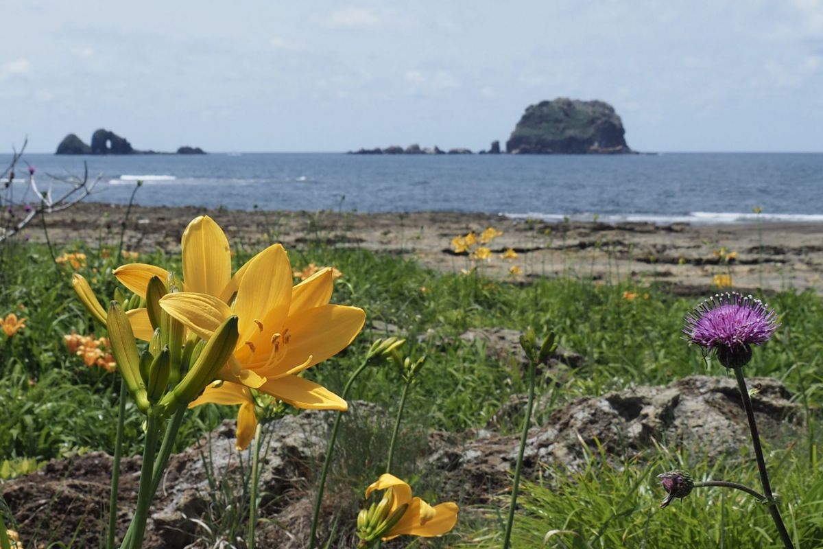 日本海の島飛島