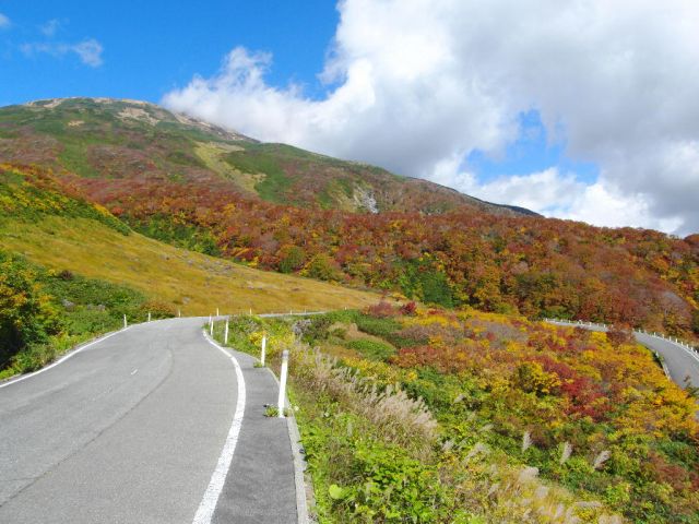 春から秋にかけてドライブコースもオススメ！